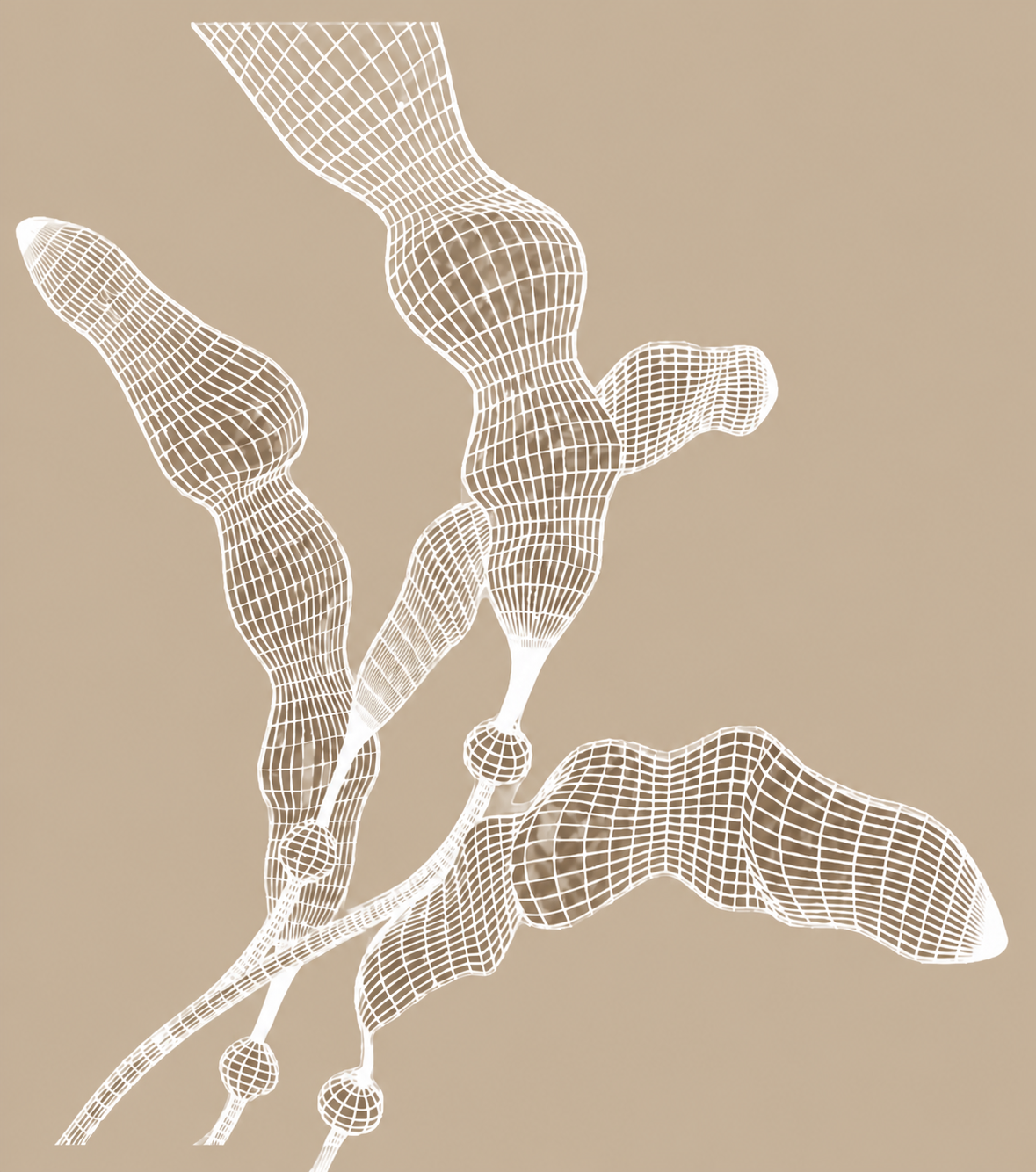 Abstract wireframe illustration representing a living biological system